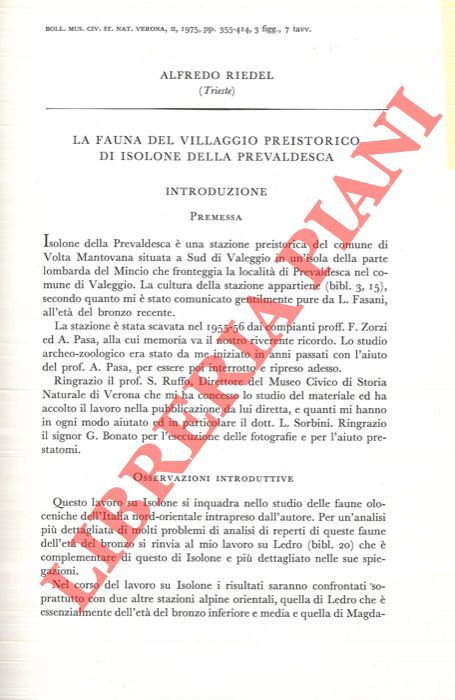 RIEDEL Alfredo - - La fauna del villaggio preistorico di Isolone della Prevaldesca-