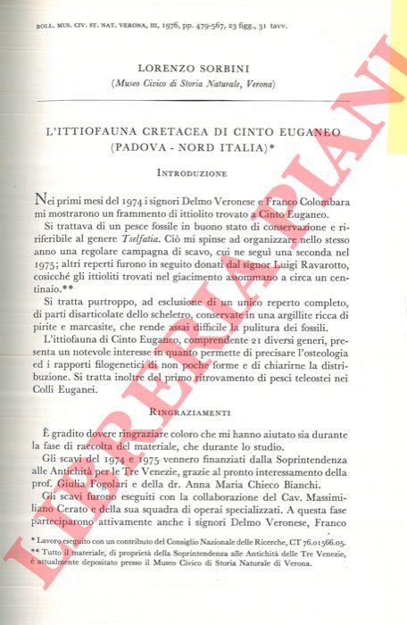 SORBINI Lorenzo - - L'ittiofauna cretacea di Cinto Euganeo (Padova - Nord Italia) .