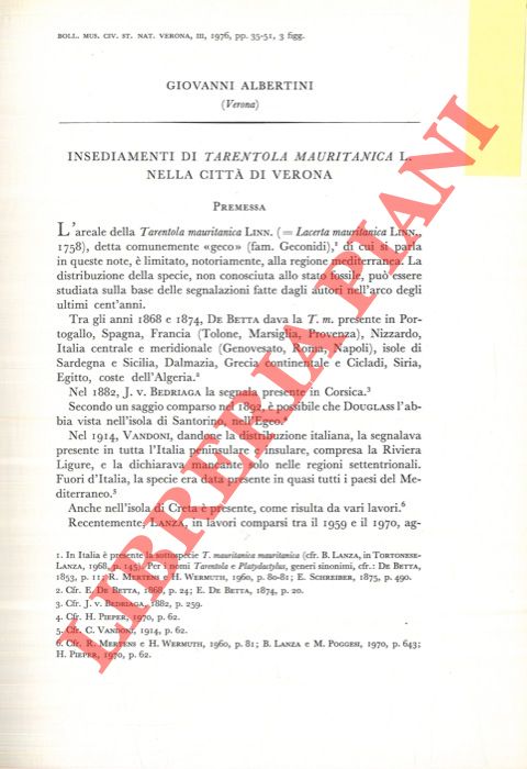 ALBERTINI Giovanni - - Insediamenti di Tarentola mauritanica L. nella citt di Verona.