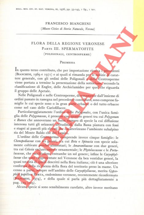 BIANCHINI Francesco - - Flora della regione veronese. Spermatofite.