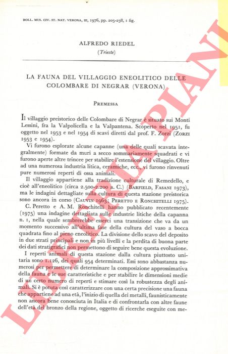 RIEDEL Alfredo - - La fauna del villaggio eneolitico delle Colombare di Negrar (Verona) .