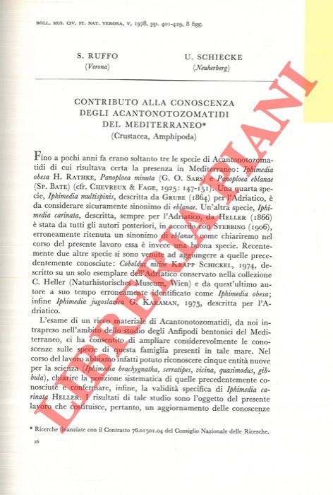 RUFFO Sandro - SCHIECKE Ulrich - - Contributo alla conoscenza degli Acantonotozomatidi del Mediterraneo (Crustacea, Amphipoda) .