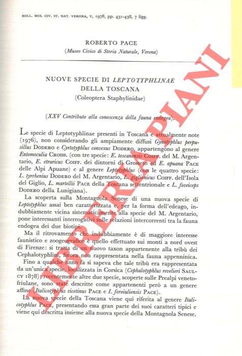 PACE Roberto - - Nuove specie di Leptotyphlinae della Toscana (Coleoptera Staphylinidae) .