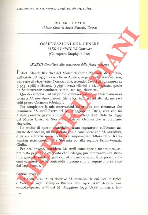 PACE Roberto - - Osservazioni sul genere Megatyphlus Coiffait (Coleoptera Staphylinidae) .
