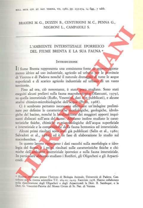 BRAIONI M. G. - DUZZIN B. - CENTURIONI M. C. - PENNA G. - NEGRONI L. - CAMPAIOLI S. - - L'ambiente interstiziale iporreico del fiume Brenta e la sua fauna.