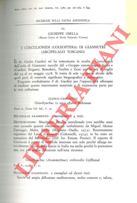 OSELLA Giuseppe - - I Curculioidi (Coleoptera) di Giannutri (Arcipelago Toscano) .