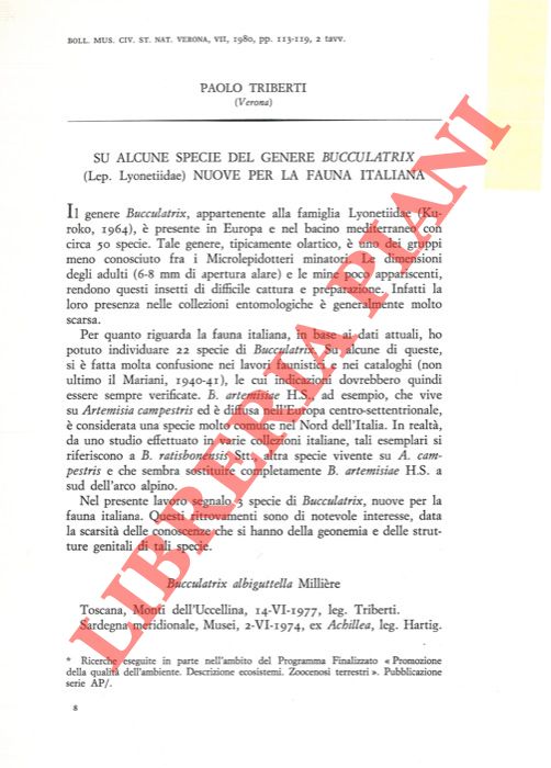 TRIBERTI P. - - Su alcune specie del genere Bucculatrix (Lepidoptera, Lyonetiidae) nuove per la fauna italiana.