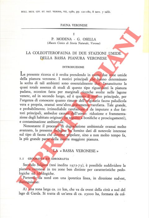 MODENA P. - OSELLA G. - - La coleotterofauna di due stazioni umide della bassa pianura veronese.