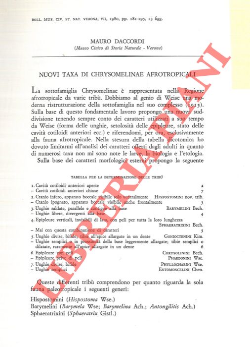 DACCORDI Mauro - - Nuovi taxa di Chrysomelinae afrotropicali.