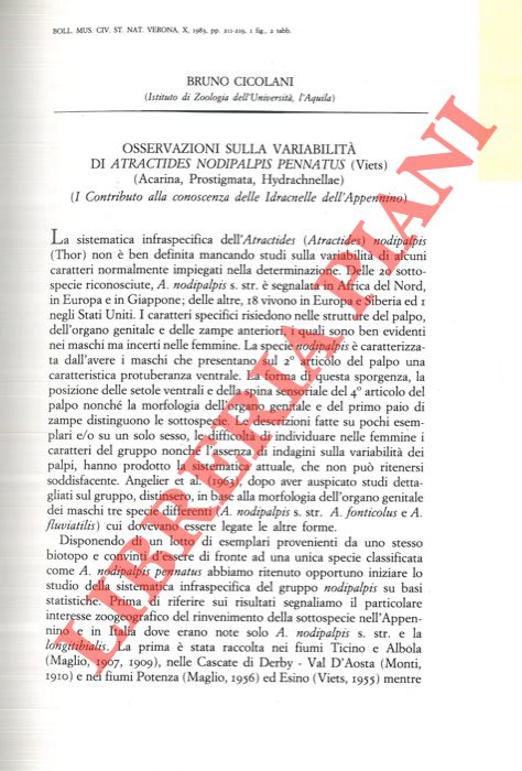 CICOLANI Bruno - - Osservazioni sulla variabilit di Atractides nodipalpis pennatus (Viets) . Contributo alla conoscenza delle Idracnelle dell'Appennino) .