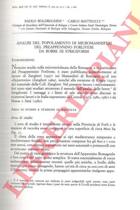 BOLDREGHINI Paolo - MATTEUCCI Carlo - - Analisi del popolamento di micromammiferi del Preappennino Forlivese da borre di Strigiformi.