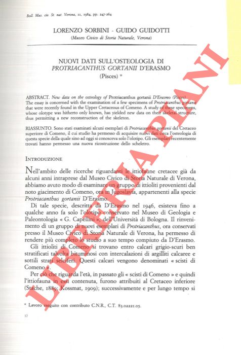 SORBINI Lorenzo - GUIDOTTI Guido - - Nuovi dati sull'osteologia di Protriacanthus gortanii d'Erasmo (Pisces) .