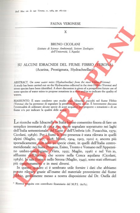 CICOLANI Bruno - - Su alcuni Idracnidi del fiume Fibbio (Verona) (Acarina, Prostigmata, Hydrachnellae) .