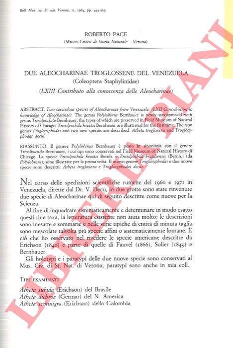 PACE Roberto - - Due Aleocharinae troglossene del Venezuela (Coleoptera Staphylinidae) .