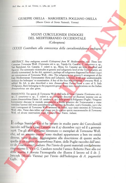 OSELLA Giuseppe - POGLIANO OSELLA Margherita - - Nuovi Curculionidi endogei del Mediterraneo occidentale (Coleoptera) .