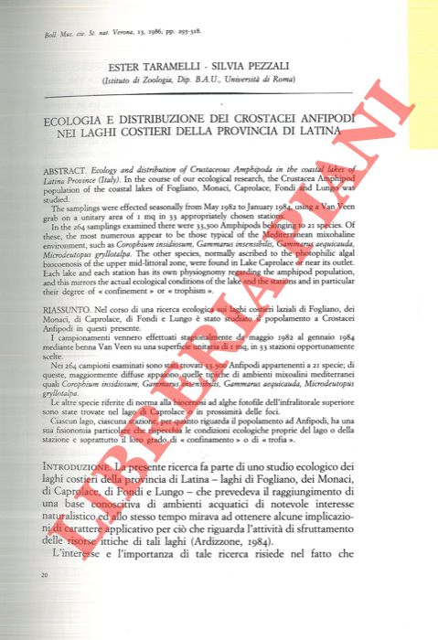 TARAMELLI Ester - PEZZALI Silvia - - Ecologia e distribuzione dei Crostacei Anfipodi nei laghi costieri della provincia di Latina.