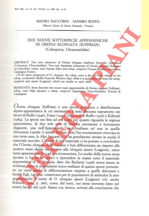 DACCORDI Mauro - RUFFO Sandro - - Due nuove sottospecie appenniniche di Oreina eleongata (Suffrian) (Coleoptera, Crysomelidae) .