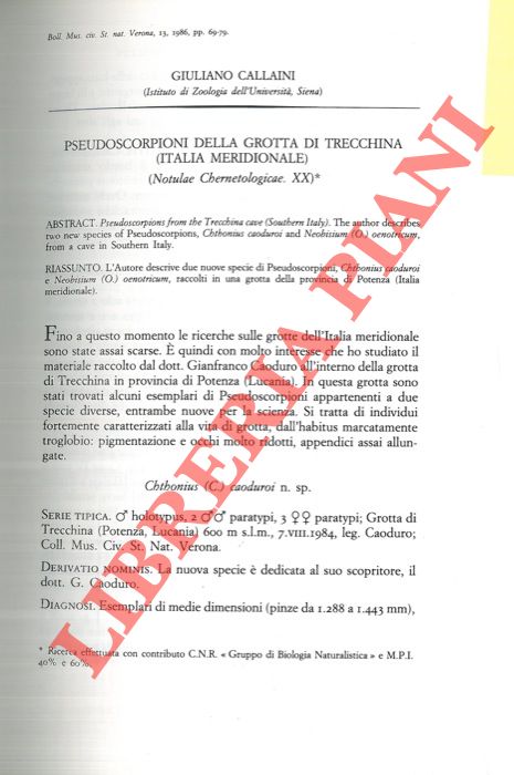CALLAINI Giuliano - - Pseudoscorpioni della Grotta di Trecchina (Italia Meridionale) .