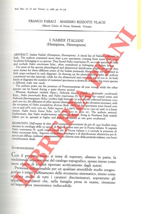 FARACI Franco - RIZZOTTI VLACH Massimo - - I Nabidi italiani (Hemiptera, Heteroptera) .