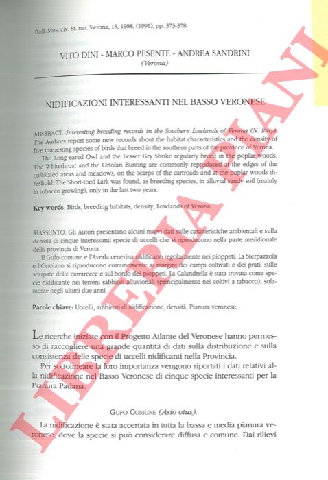 DINI Vito - PESENTE Marco - SANDRINI Andrea - - Nidificazioni interessanti nel Basso Veronese.
