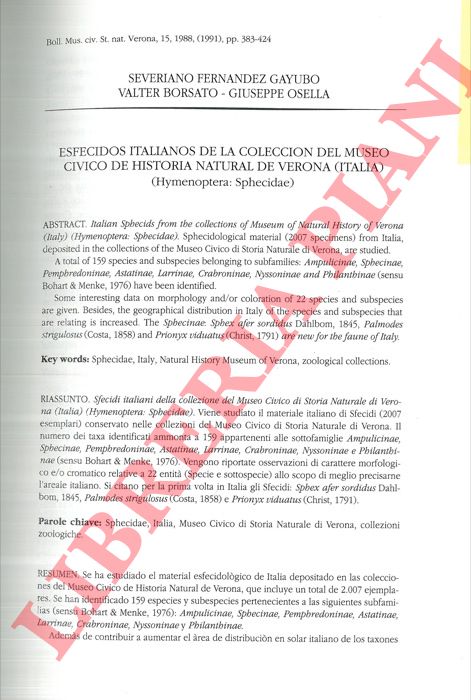 GAYUBO Severiano Fernandez - BORSATO Valter - OSELLA Giuseppe - - Esfecidos italianos de la coleccion del Museo Civico de Historia Natural de Verona (Italia) (Hymenoptera: Sphecidae) .