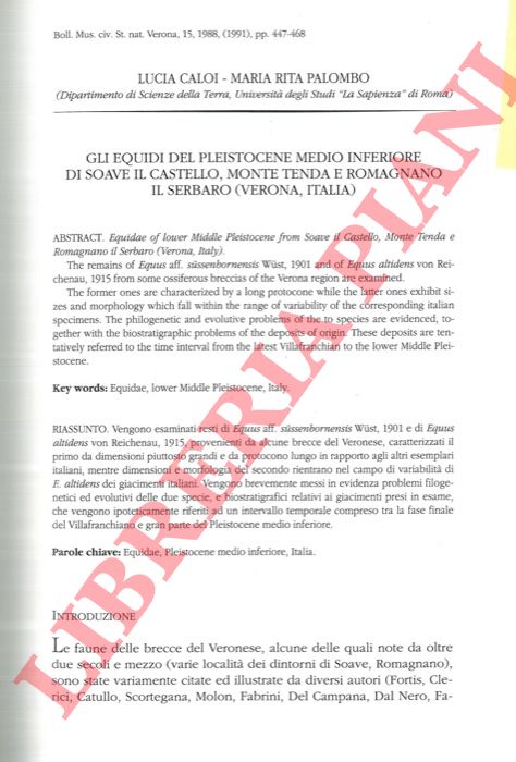 CALOI L. - PALOMBO M. R. - - Gli Equidi del Pleistocene medio inferiore di Soave il Castello, Monte Tenda e Romagnano il Serbaro (Verona Italy) .