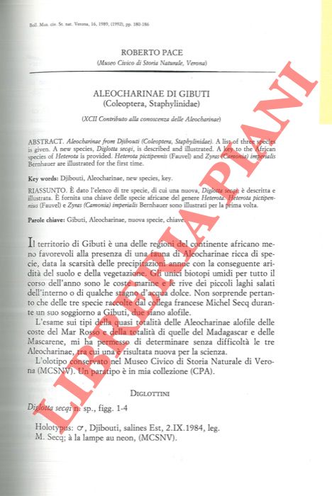 PACE Roberto - - Aleocharinae di Gibuti (Coleoptera, Staphylinidae) .