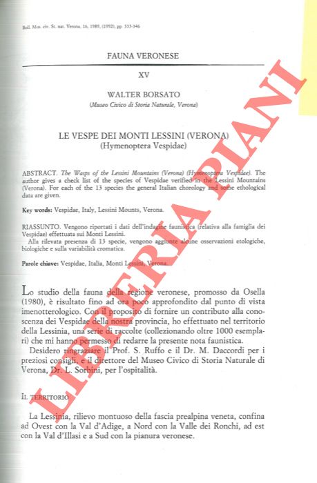 BORSATO Walter - - Le vespe dei Monti Lessini (Verona) (Hymenoptera Vespidae) .