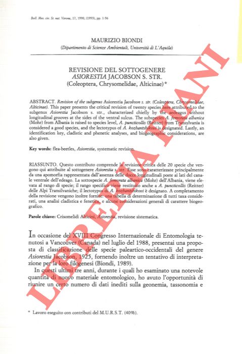BIONDI Maurizio - - Revisione del sottogenere Asiorestia jacobson s. str. (Coleoptera, Cherysomelidae, Alticinae) .