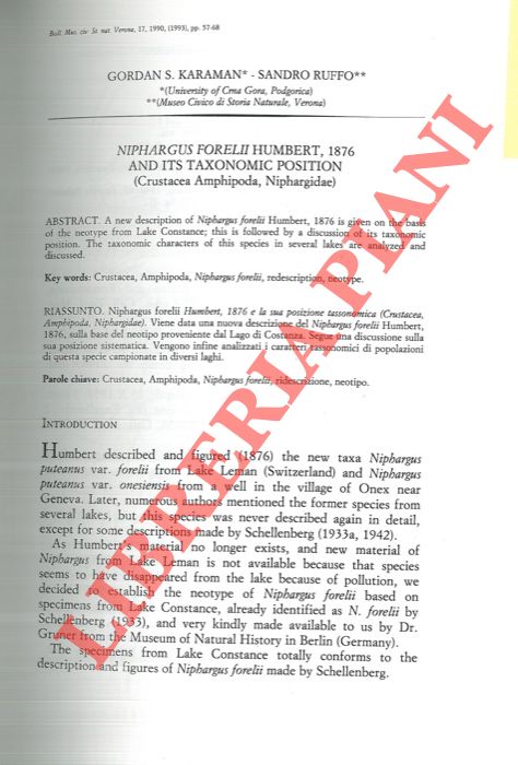 KARAMAN Gordan S. - RUFFO S. - - Niphargus forelii Humbert, 1876 and its taxonomic position (Crustacea Amphipoda, Niphargidae) .