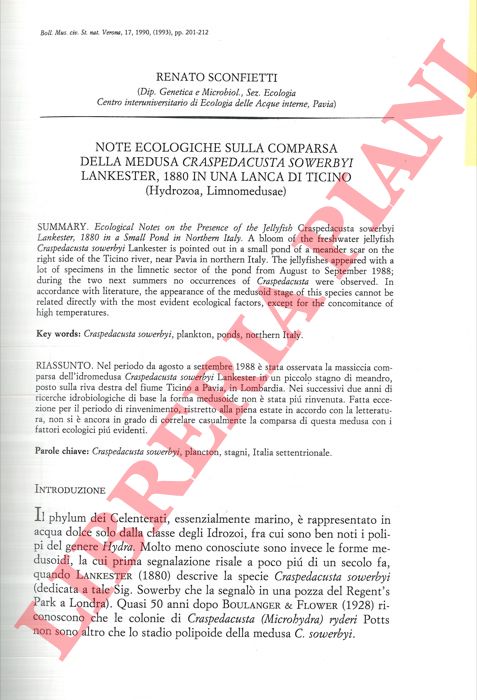 SCONFIETTI Renato - - Note ecologiche sulla comparsa della medusa Craspedacusta sowerbyi Lankester, 1880 in una lanca di Ticino (Hydrozoa, Limnomedusae) .