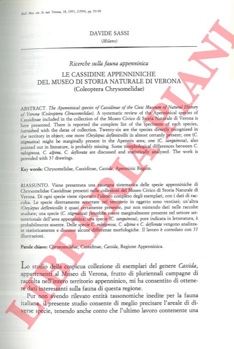 SASSI Davide - - Le Cassidine appenniniche del Museo di Storia Naturale di Verona (Coleoptera Crysomelidae) .