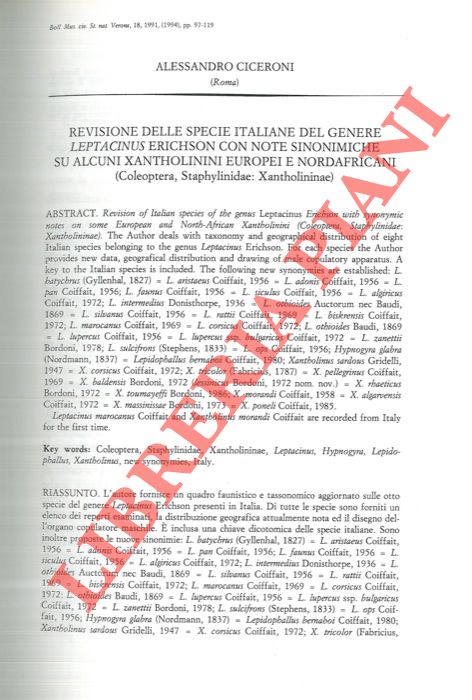 CICERONI Alessandro - - Revisione delle specie italiane del genere Leptacinus Erichson con note sinonimiche su alcuni Xantholinini europei e nordafricani (Coleoptera, Staphylinidae: Xantholininae) .