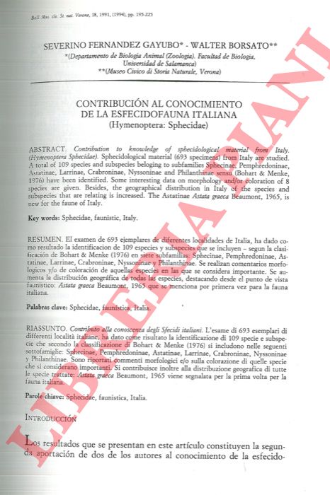 GAYUBO Severiano Fernandez - BORSATO Valter - - Contribucion al conocimiento de la esfecidofauna italiana (Hymenoptera: Sphecidae) .
