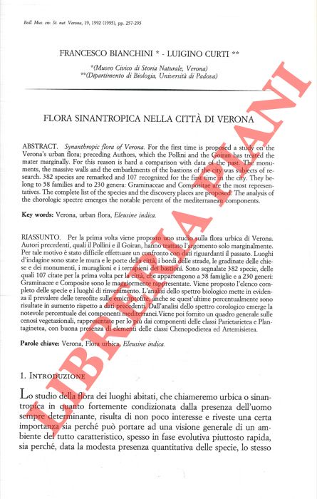 BIANCHINI Francesco - CURTI Luigino - - Flora sinantropica nella citt di Verona.