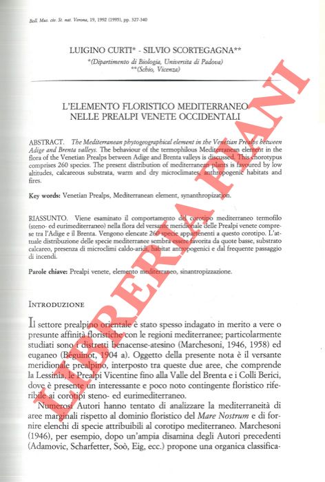 CURTI Luigino - SCORTEGAGNA Silvio - - L'elemento floristico mediterraneo nelle Prealpi Venete occidentali.