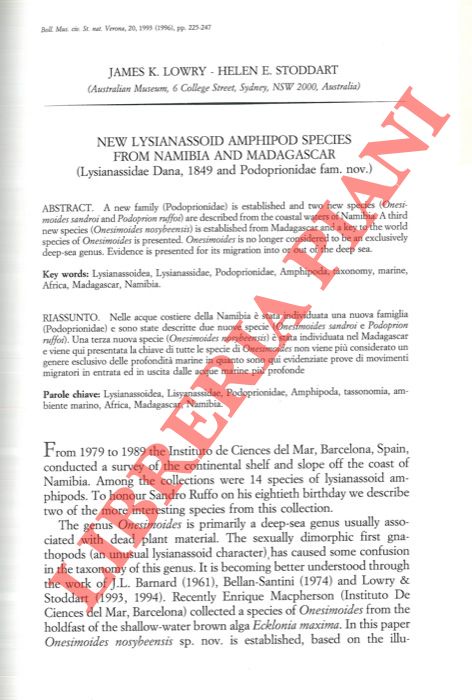 LOWRY James K. - STODDART Helen E. - - New Lysiapassoid Amphipod species from Namibia and Madagascar (Lysianassidae Dana, 1849 and Popoprionidae fam. nov. ) .