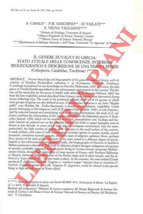 CASALE A. - GIACHINO P. M. - VAILATI D. - VIGNA TAGLIANTI A. - - Il genere Duvalius in Grecia: stato ufficiale delle conoscenze, interesse biogeografico e descrizione di una nuova specie (Coleoptera, Carabidae, Trechinae) .