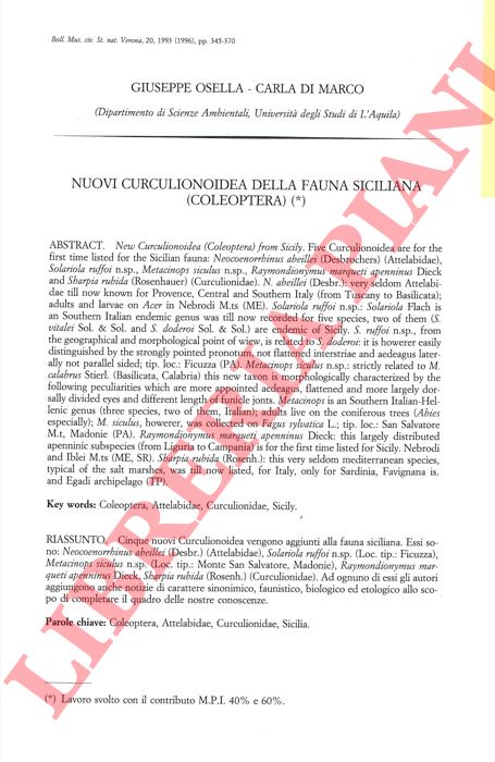 OSELLA Giuseppe - DI MARCO C. - - Nuovi Curculionioidea della fauna siciliana (Coleoptera) .