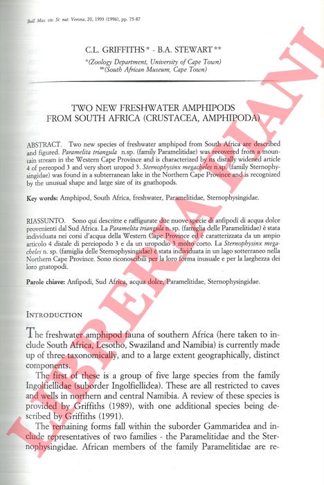 GRIFFITHS C. L. - STEWART B. A. - - Two new freshwater Amphipods from South Africa (Crustacea, Amphipoda) .