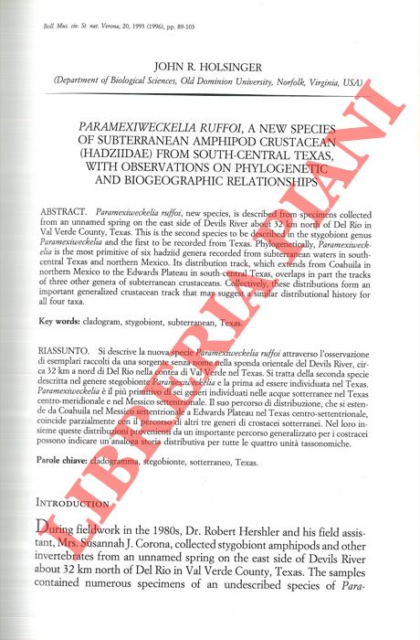 HOLSINGER John R. - - Paramexiweckelia ruffoi, a new species of subterranean Amphipod Crustacean (Hadziidae) from South-Central Texas, with observations on phylogenetic and biogeographic relationships.
