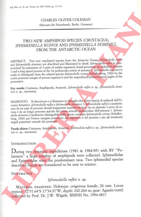 COLEMAN Charles Oliver - - Two new Amphipod species (Crustacea) Iphimediella ruffoi and Iphimediella dominici, from the Antarctic Ocean.