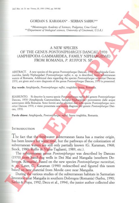 KARAMAN S. Gordan - SARBU Serban - - A new species of the genus Pontoniphargus Dancau, 1970 (Amphipoda Gammaridea, family Niphargidae) from Romania, P. ruffoi n. sp. .