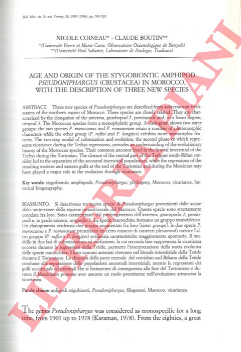 COINEAU Nicole - BOUTIN Claude - - Age and origin of the stygobiontic amphipod Pseudoniphargus (Crustacea) in Morocco, with the description of three new species.