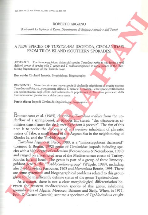 ARGANO Roberto - - A new species of Turcolana (Isopoda, Cirolanidae) from Tilos Islands (Southern Sporades) .
