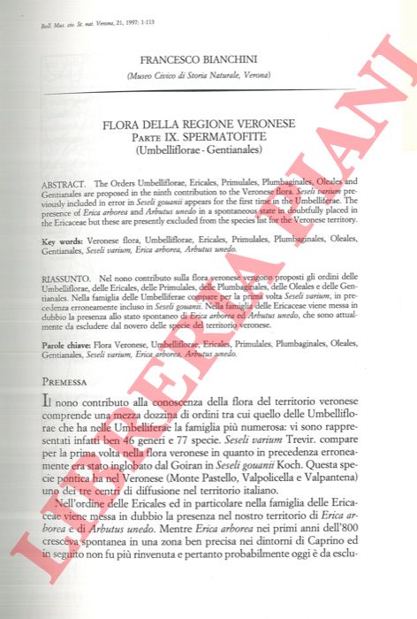 BIANCHINI Francesco - - Flora della regione veronese. Spermatofite (Umbelliflorae - Gentianales) .