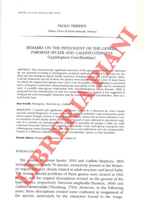 TRIBERTI Paolo - - Remarks on the phylogeny of the genera Parornix Spuler and Callisto Stephens (Lepidoptera Gracillariidae) .