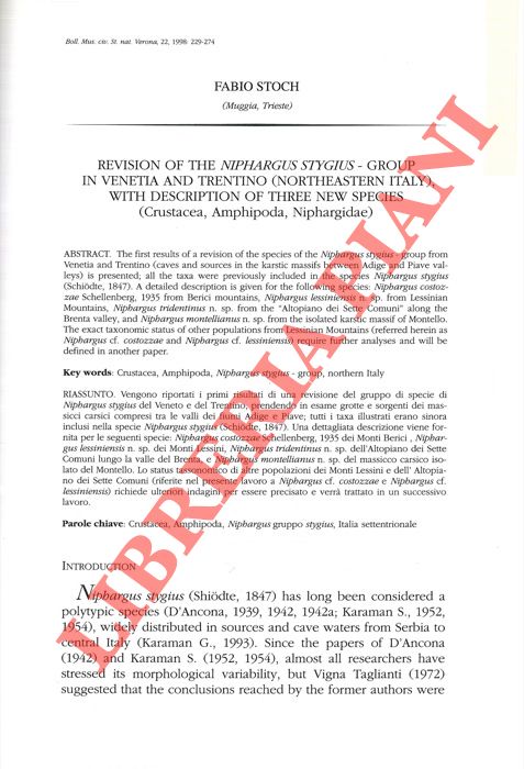 STOCH Fabio - - Revision of the Niphargus stygius-group in Venetia and Trentino (Northeastern Italy) with description of three new species (Crustacea, Amphipoda, Niphargidae) .
