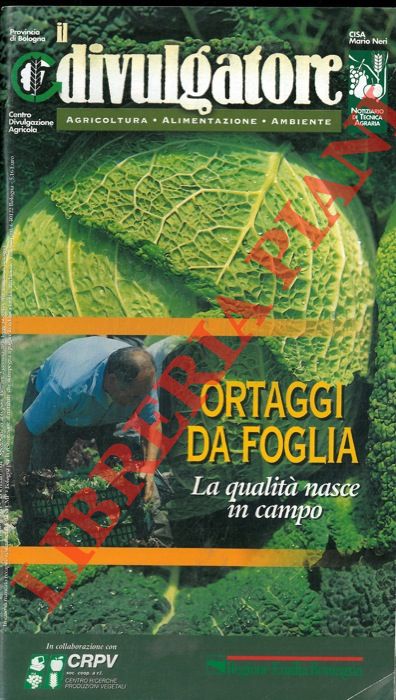 - - Ortaggi da foglia. La qualit nasce in campo.