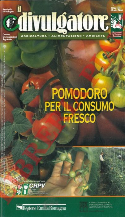 - - Pomodoro per il consumo fresco.